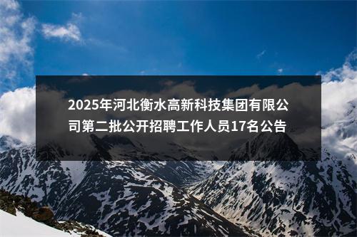 2025年河北衡水高新科技集团有限公司第二批公开招聘工作人员17名公告 图片