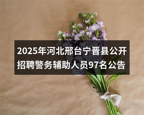 2025年河北邢台宁晋县公开招聘警务辅助人员97名公告 图片