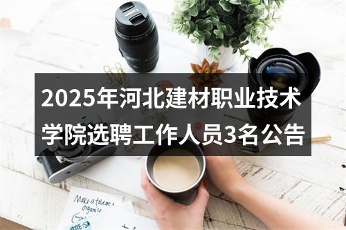 2025年河北建材职业技术学院选聘工作人员3名公告 图片