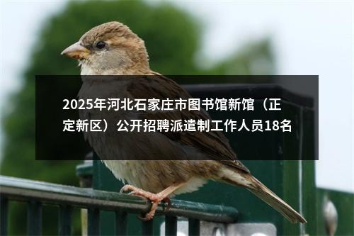 2025年河北石家庄市图书馆新馆（正定新区）公开招聘派遣制工作人员18名公告 图片