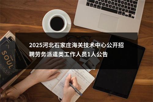 2025河北石家庄海关技术中心公开招聘劳务派遣类工作人员1人公告 图片