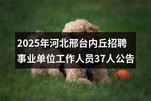 2025年河北邢台内丘招聘事业单位工作人员37人公告 图片