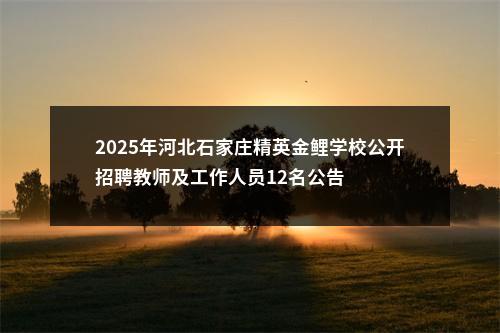 2025年河北石家庄精英金鲤学校公开招聘教师及工作人员12名公告 图片