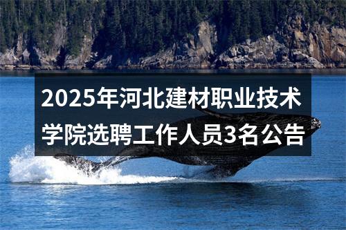 2025年河北建材职业技术学院选聘工作人员3名公告 图片
