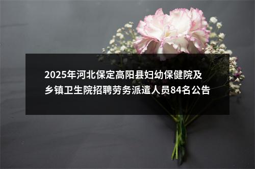 2025年河北保定高阳县妇幼保健院及乡镇卫生院招聘劳务派遣人员84名公告 图片