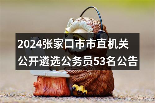 2024张家口市市直机关公开遴选公务员53名公告 图片