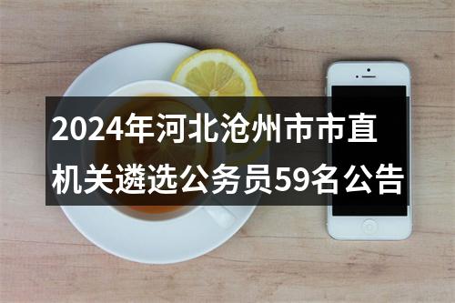 2024年河北沧州市市直机关遴选公务员59名公告 图片