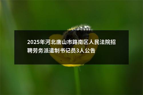 2025年河北唐山市路南区人民法院招聘劳务派遣制书记员3人公告 图片