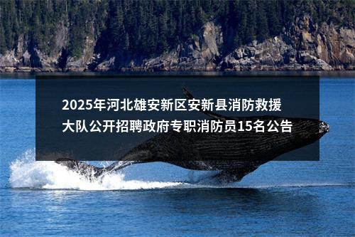 2025年河北雄安新区安新县消防救援大队公开招聘政府专职消防员15名公告 图片